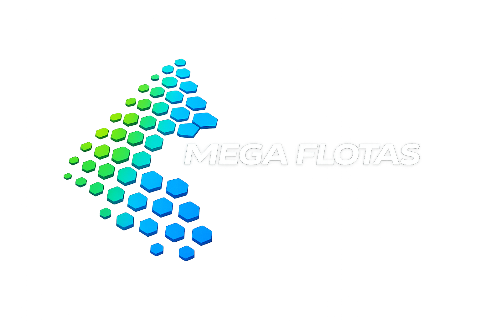 Megaflotas